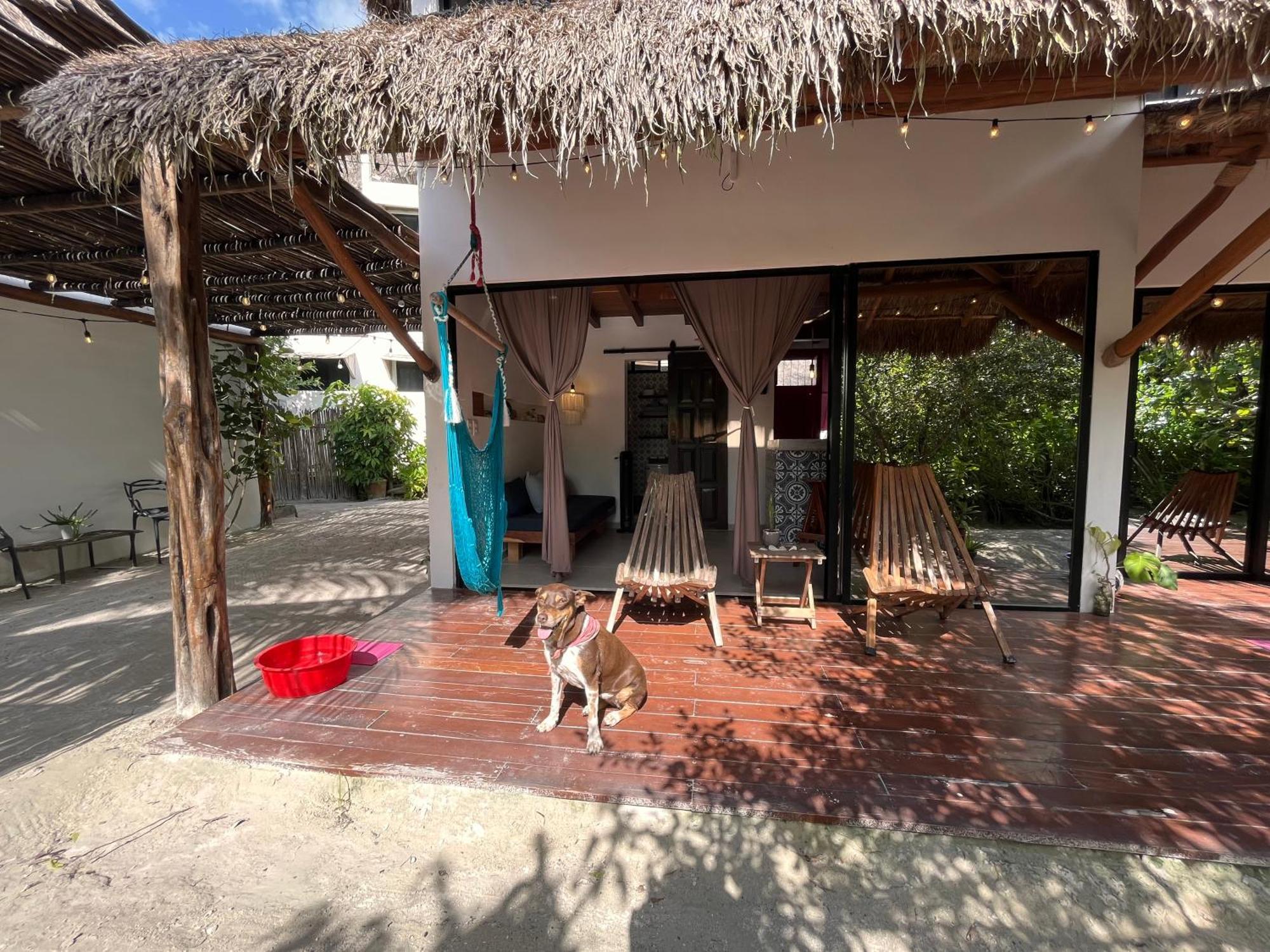 Ca Nikte Cabanas El Cuyo Bagian luar foto
